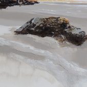 Coast Gallery Salt Spring Island - Kathryn Amisson