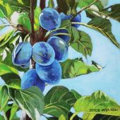 Coast Gallery Salt Spring Island - Artist Joyce Upex