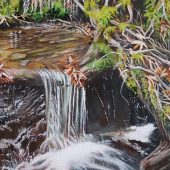 Coast Gallery Salt Spring Island - Artist Joyce Upex