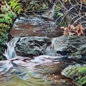 Coast Gallery Salt Spring Island - Artist Joyce Upex