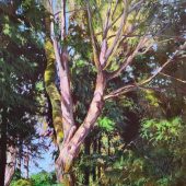 Coast Gallery Salt Spring Island - Artist Joyce Upex