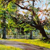 Coast Gallery Salt Spring Island - Artist Joyce Upex