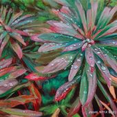 Coast Gallery Salt Spring Island - Artist Joyce Upex