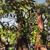 Coast Gallery Salt Spring Island - Artist Joyce Upex