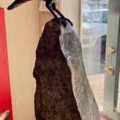 Coast Gallery Salt Spring Island - Nicola Prinsen