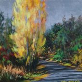 Coast Gallery Salt Spring Island - Artist Joyce Upex