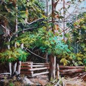 Coast Gallery Salt Spring Island - Artist Joyce Upex