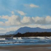 Coast Gallery Salt Spring Island - Artist Pieter Molenaar