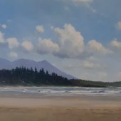 Coast Gallery Salt Spring Island - Artist Pieter Molenaar