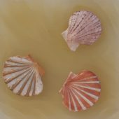 Coast Gallery Salt Spring Island - Artist Bob Leatherbarrow