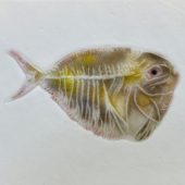 Coast Gallery Salt Spring Island - Artist Bob Leatherbarrow