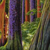 Coast Gallery Salt Spring Island - Artist Tony Grove