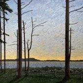 Coast Gallery Salt Spring Island - Artist Joel Mara