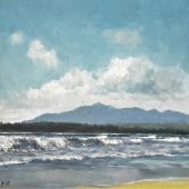 Coast Gallery Salt Spring Island - Artist Pieter Molenaar