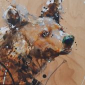 Coast Gallery Salt Spring Island - Artist Fran Alexander