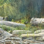 Coast Gallery Salt Spring Island - Artist Mike Radford