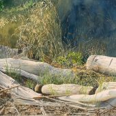 Coast Gallery Salt Spring Island - Artist Mike Radford