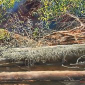 Coast Gallery Salt Spring Island - Artist Mike Radford