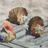Coast Gallery Salt Spring Island British Columbia Canada - Artist Mike Radford