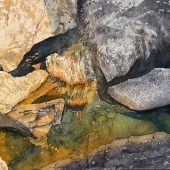 Coast Gallery Salt Spring Island - Artist Mike Radford