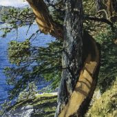 Coast Gallery Salt Spring Island - Artist Carol Evans