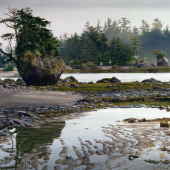 Coast Gallery Salt Spring Island - Artist Carol Evans