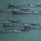 Coast Gallery Salt Spring Island - Artist Patrick Skidd