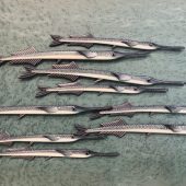 Coast Gallery Salt Spring Island - Artist Patrick Skidd