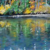 Coast Gallery Salt Spring Island - Artist Peggy Bagshaw