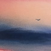 Coast Gallery Salt Spring Island - Jacqueline Meredith