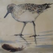 Coast Gallery Salt Spring Island - Artist Judy Hilgemann