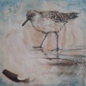 Coast Gallery Salt Spring Island - Artist Judy Hilgemann