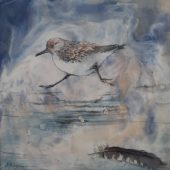 Coast Gallery Salt Spring Island - Artist Judy Hilgemann