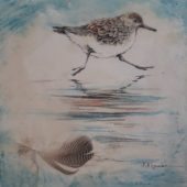 Coast Gallery Salt Spring Island - Artist Judy Hilgemann