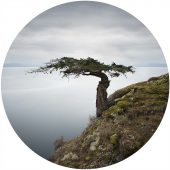 Coast Gallery Salt Spring Island-Artist David Joseph Ellingsen