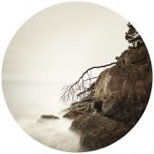 Coast Gallery Salt Spring Island-Artist David Joseph Ellingsen