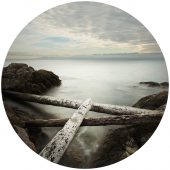 Coast Gallery Salt Spring Island-Artist David Joseph Ellingsen