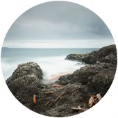 Coast Gallery Salt Spring Island-Artist David Joseph Ellingsen