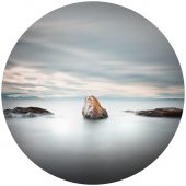 Coast Gallery Salt Spring Island-Artist David Joseph Ellingsen