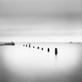 Coast Gallery Salt Spring Island-Artist David Joseph Ellingsen