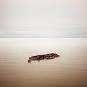 Coast Gallery Salt Spring Island-Artist David Ellingsen