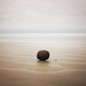 Coast Gallery Salt Spring Island-Artist David Ellingsen