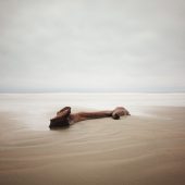 Coast Gallery Salt Spring Island-Artist David Ellingsen