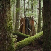 Coast Gallery Salt Spring Island-Artist David Ellingsen