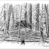 Coast Gallery Salt Spring Island - Artist Rolando Lampitoc