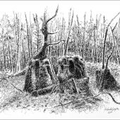 Coast Gallery Salt Spring Island - Artist Rolando Lampitoc