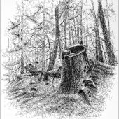 Coast Gallery Salt Spring Island - Artist Rolando Lampitoc