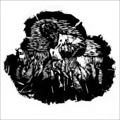 Coast Gallery Salt Spring Island - Artist Rolando Lampitoc