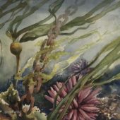 Coast Gallery Salt Spring Island - Artist Leigh-Anne Maxwell