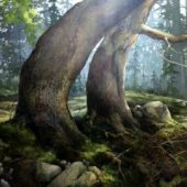 Coast Gallery Salt Spring Island - Artist Leigh-Anne Maxwell